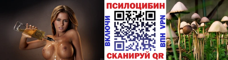 Галлюциногенные грибы прущие грибы  Высоцк 