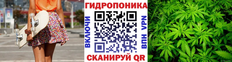 сайты даркнета наркотические препараты  Высоцк  Шишки марихуана White Widow 